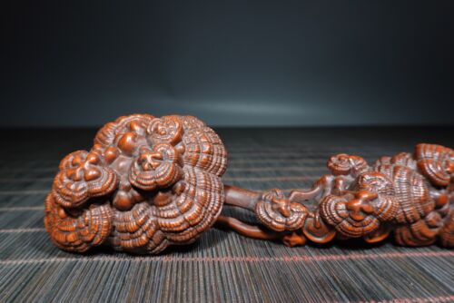 Scultura Ganoderma Ruyi lucida intaglio legno bosso cinese collezione 8" - Foto 3 di 9