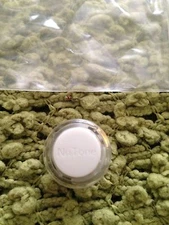 Nutone Intercom Lighted Push button IS-69 IS-67 Door Speaker Bell PB18