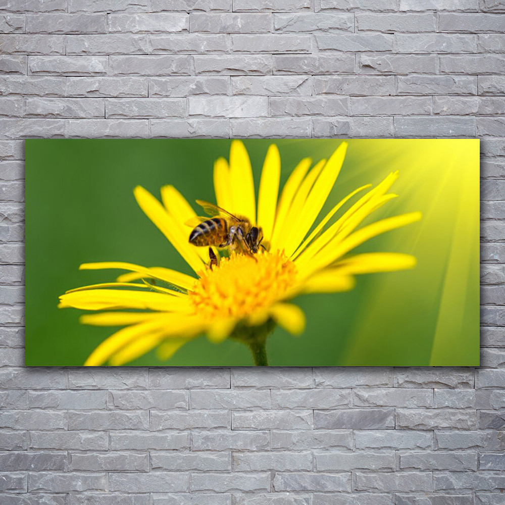 Photo sur toile haut de gamme motif fleur et guêpe grand format 120x60 en bois