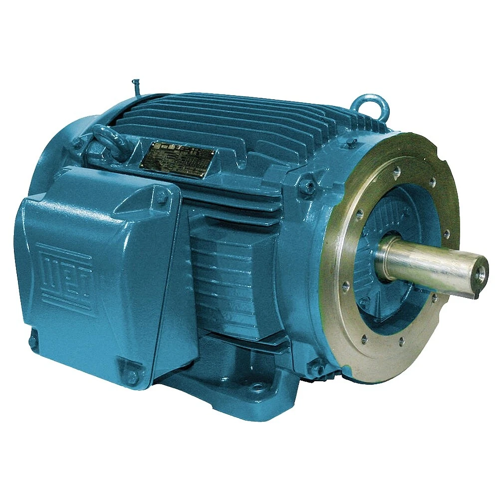Three Phase 3 V General Purpose Industrial Electric Motors