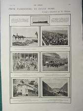 1900 VICTORIAN B&Ouml;ERKRIEG Print ~ Cronj&eacute;'s Quartiere St. Helena Kaffier Jungen