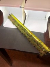 24 in Organic Sheet Mossed 1/4 in Poles For Your Terrariums Or Plants Set Of 2