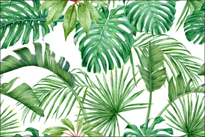 VLIES FOTOTAPETE Monstera Palmen Exotisch 530 TAPETE WANDBILDER XXL