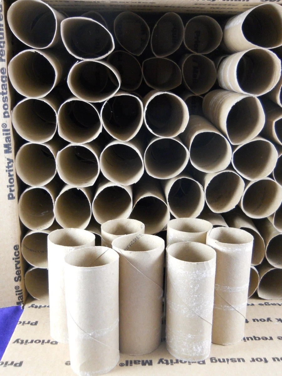 100 Empty Toilet Paper Rolls Tubes Craft Art Church School Project Cardboard