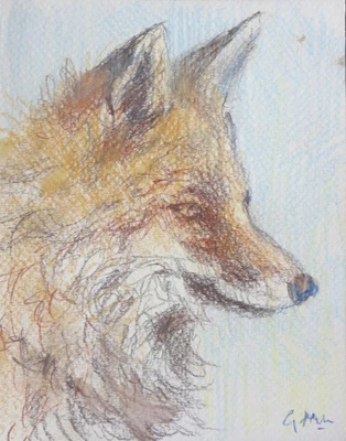 GERRY MILLER. Aquarellstift. "Fuchs". Ohne Rahmen. 14x18cm. - Bild 1 von 4