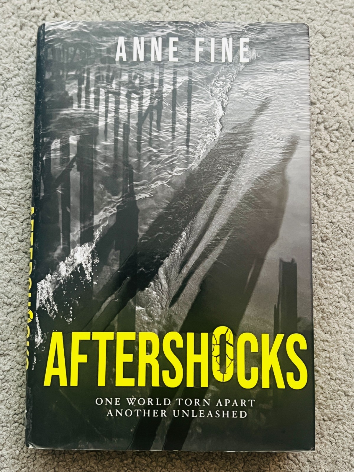 AFTERSHOCKS by ANNE FINE - signed by the author (SB5027)