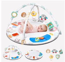 Baby Play Gym  Activity Mat for Brain Development 0-12Mo  5-Sensory Zones