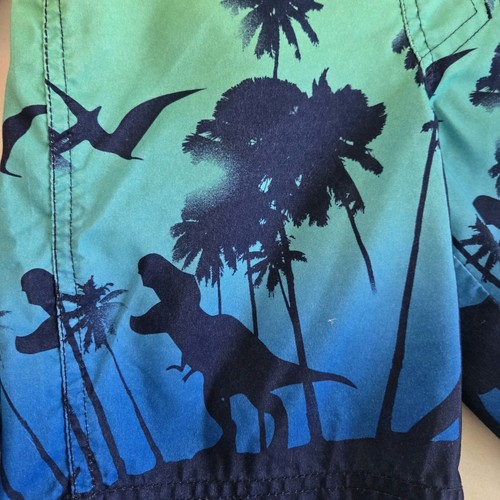 Cat & Jack Boys Swimsuit Bundle Of 3 Target Swimwear Bathing Palms Dinosaur USA - Picture 7 of 11