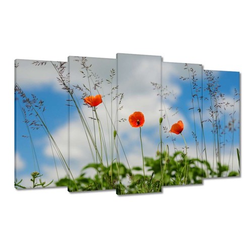 Quadro su tela quadro da parete canvas print New York di notte n. H1458_PC - Foto 1 di 207
