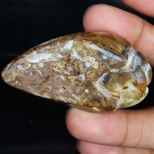 (32X58X22 MM) 226.55 Carat. NATURAL FOSSIL SNAIL DRUZY CABOCHON LOOSE GEMSTONE - Picture 2 of 6