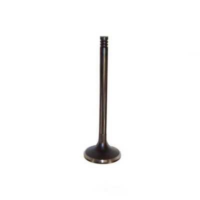 Engine Exhaust Valve-VIN: W, OHV, HEMI, 16 Valves DNJ EV1162