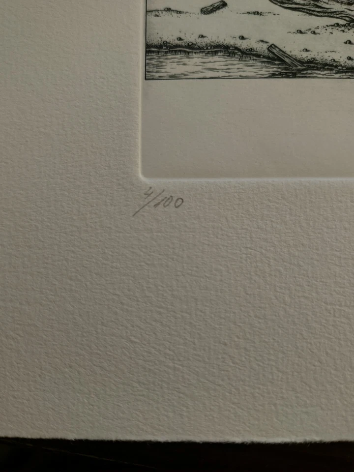 Peter Froese, Fisch am Strand, Kupferstich, handsigniert, numeriert 1986 - Bild 2 von 3