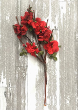 Antique Vintage Millinery Velvet Spray of Flowers Red with Pearlized Berries