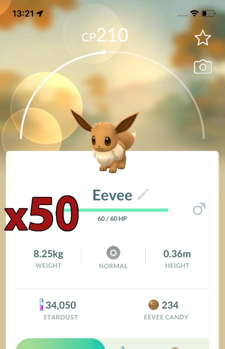 50x Eevee Pokemon Bundle !! Good Chance of Lucky and Good IVs !! Go