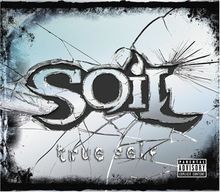 True Self [Explicit Version] von Soil | CD | Zustand sehr gut