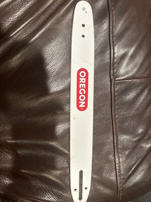 Oregon Chain Saw Blade Guide Bar White 16" 160SDEA041 (b52) | eBay