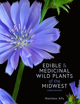 Edible and Medicinal Wild Plants of the Midwest by Matthew Alfs: New