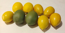 Faux Lemons  Limes Fruit Fake Prop Display Lot of 9 Large Realistic
