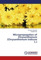 Micropropagation Of Chrysanthemum (Chrysanthemum Indicum L.) Ambreen Zafarullah