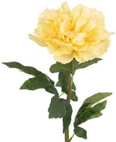 Clayre & Eef 6PL0443BE Dekoration Zweig Mit Blumen Beige GrüN 58 Cm