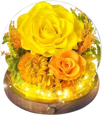 Rose in Glass Dome Flowers for Delivery Prime Preserved Roses Forever Flowers Ro