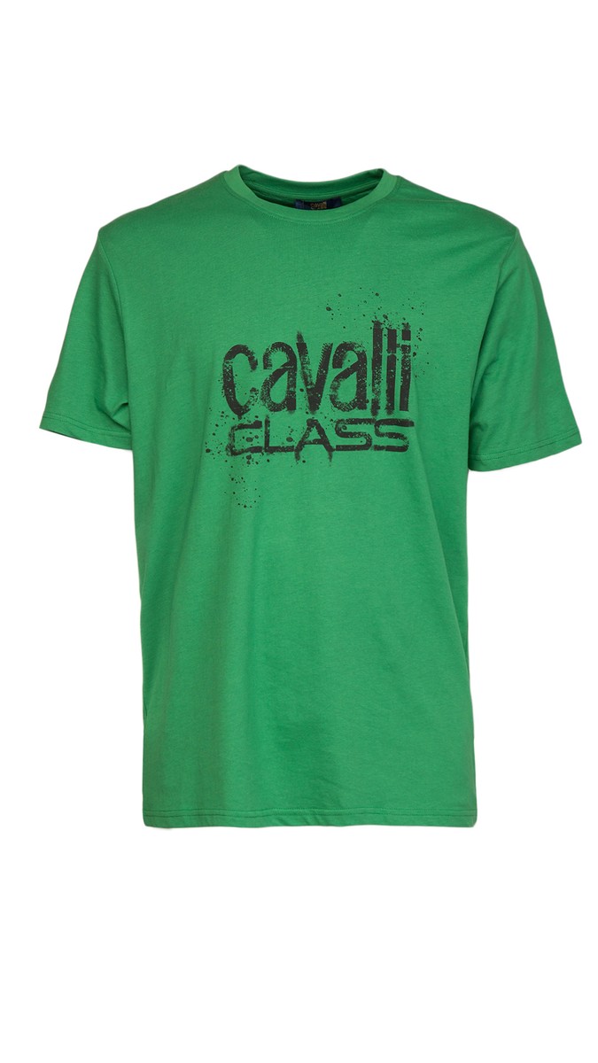 ROBERTO CAVALLI 売れ筋商品|||ロベルトカヴァリ Tシャツ トップス レディース Bodysuits Green T-Shirt With Oriental Bird Print in Blue/Pink for Women