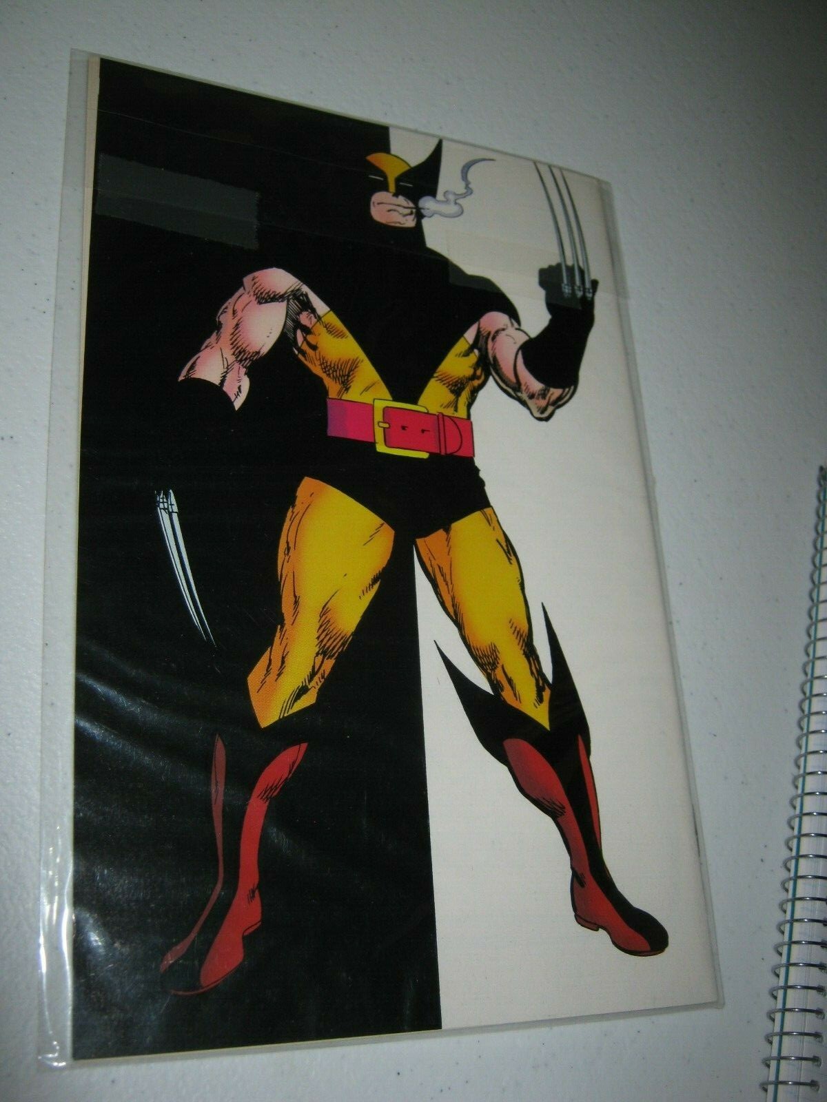 Picture 7 of 7