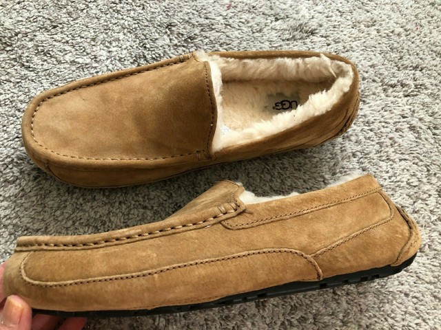 uggs australia slippers