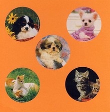 10 Baby Animals - Kittens and Puppies - Large Stickers - Party Favors