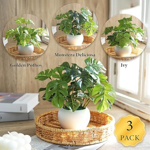 3Pack Small Fake Potted Plants for Indoor Decor Living Room Kitchen Office Shelf - Picture 2 of 5