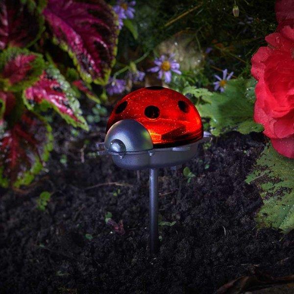 Smart Garden Ladybirds - Triple Pack
