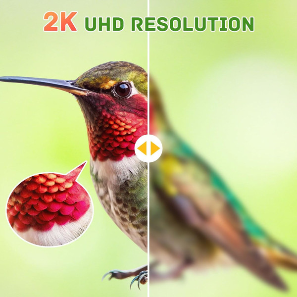 Alternate view of Smart Glass Hummingbird Feeder Camera, Solar Powered Hummingbird Feed