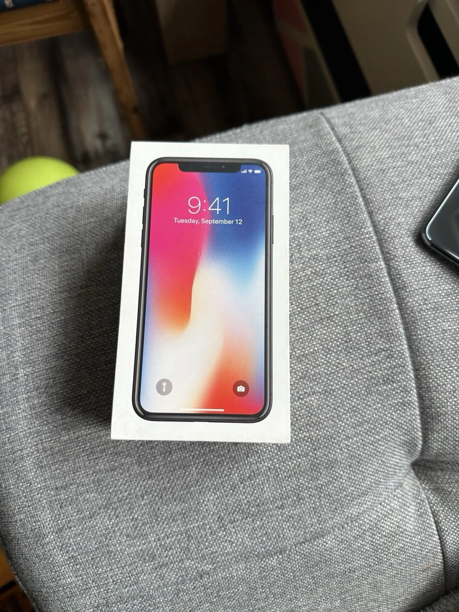 iPhone X mit 256 GB Speicherkapazität online kaufen | eBay.de