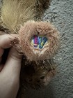 Picture 8 of 12