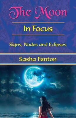 The Moon In Focus