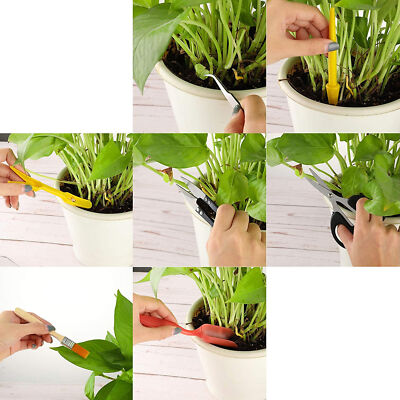 Set Succulent Spray Bottle Seedling Device Watering Kettle Soil Shovel Potted Tr