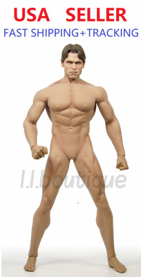 TBLeague Phicen M34 Seamless Male Muscular Body W/ Arnold Schwarzenegger head