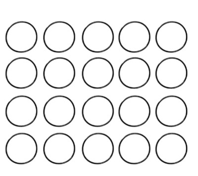 20 O-Ring Lid Replacement 350013 for IntelliFlo WhisperFlo pool and spa pump