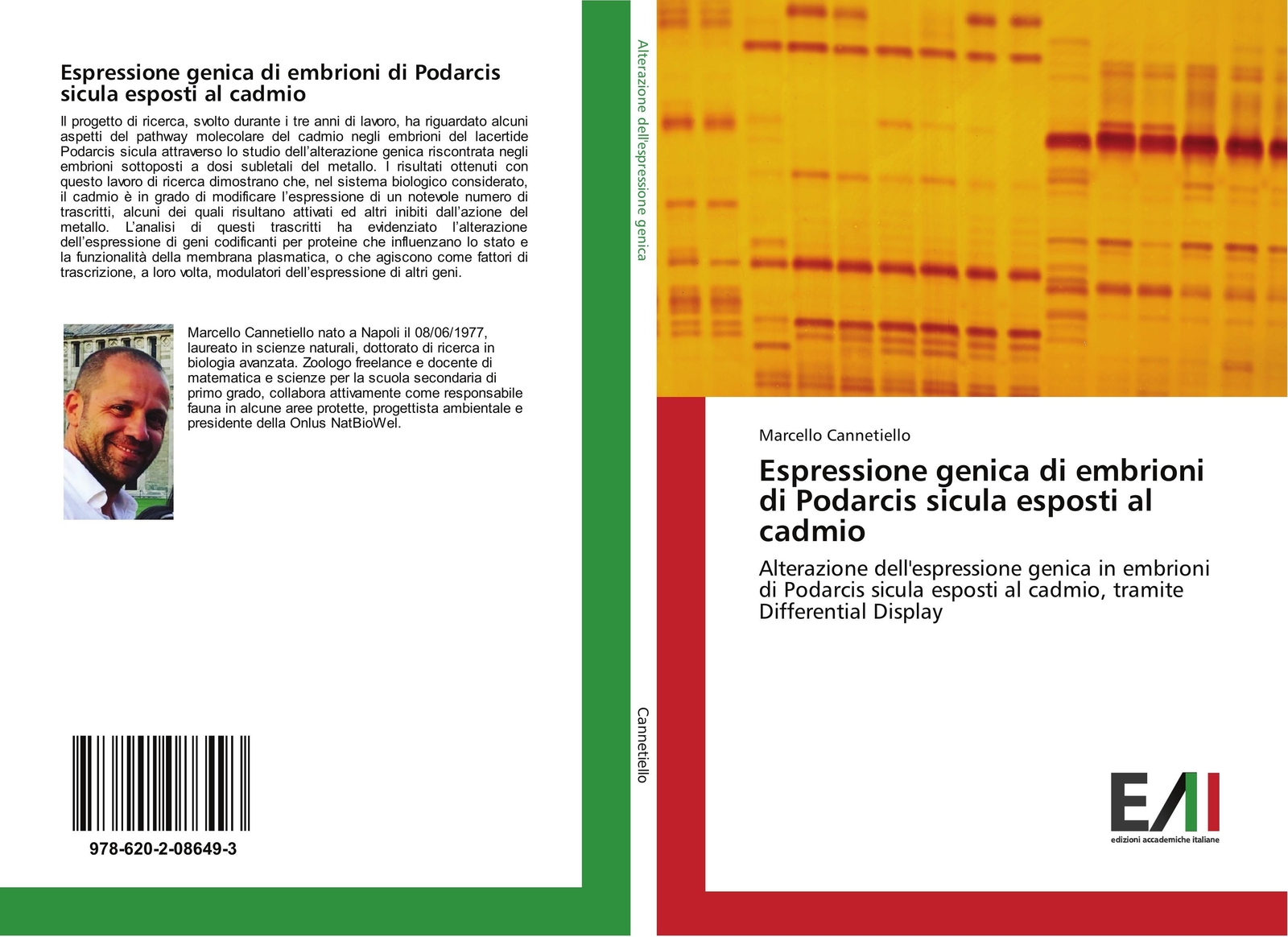 Espressione Genica Di Embrioni Di Podarcis Sicula Esposti Al Cadmio |