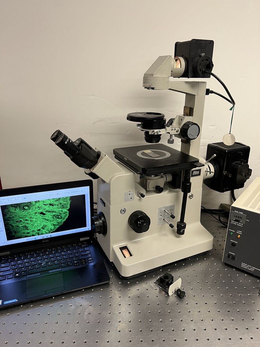 s-l1200.jpg s-l1200.jpg