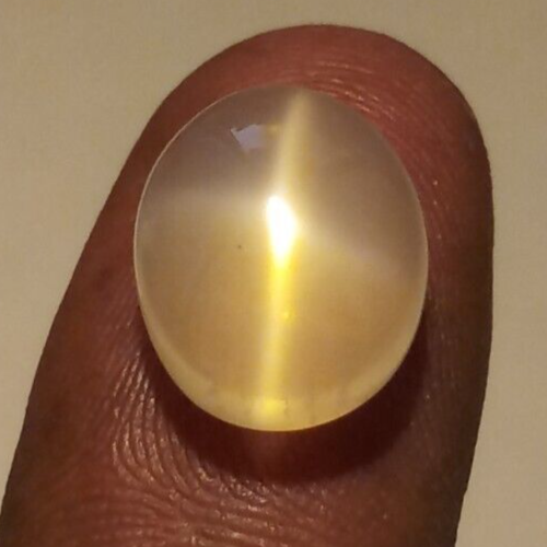 Moonstone Awesome 4Ray Golden Star 8.00 Ct Oval Cabochon Natural Loose Gemstone