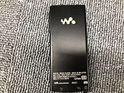 WALKMAN Model NW S315K SONY | eBay