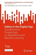 Safety in the Digital Age: Sociotechnical Perspectives on Algorithms and Machine