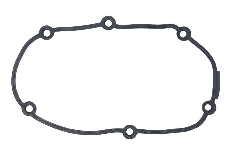 Fits ELRING EL893820 Gasket, timing case cover EL893820 Timing gear cover gaske