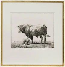 Simon Bull (b. 1958) - Framed 1985 Etching, Limousin Bull and Lamb