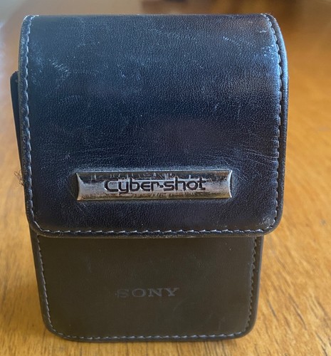 Sony Cybershot Genine Leather Soft Carrying Case (For DSC-W1, W5, W7)