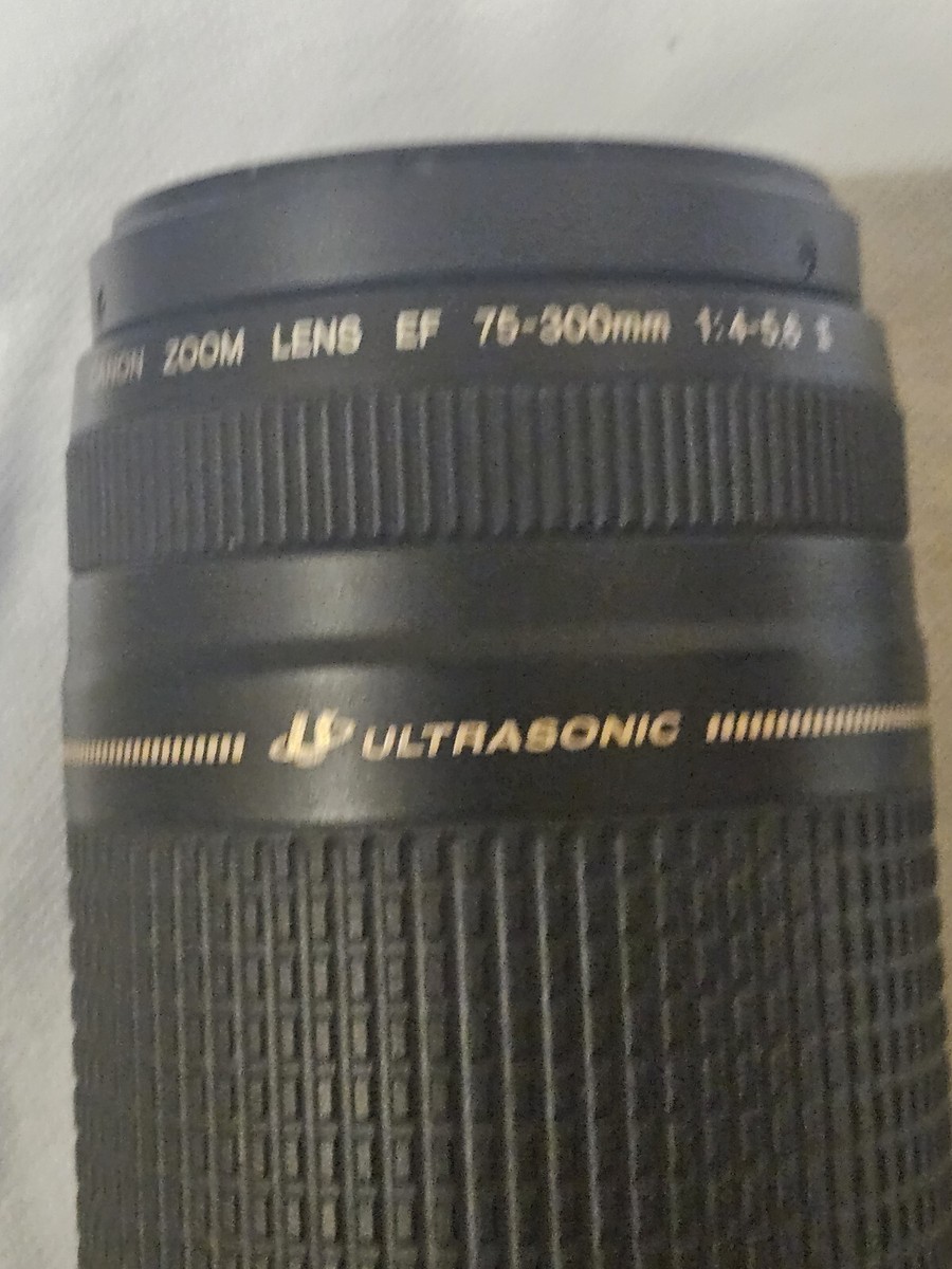 Canon Ultrasonic Zoom Lens EF 75-300mm 1:4-5.6 II | eBay