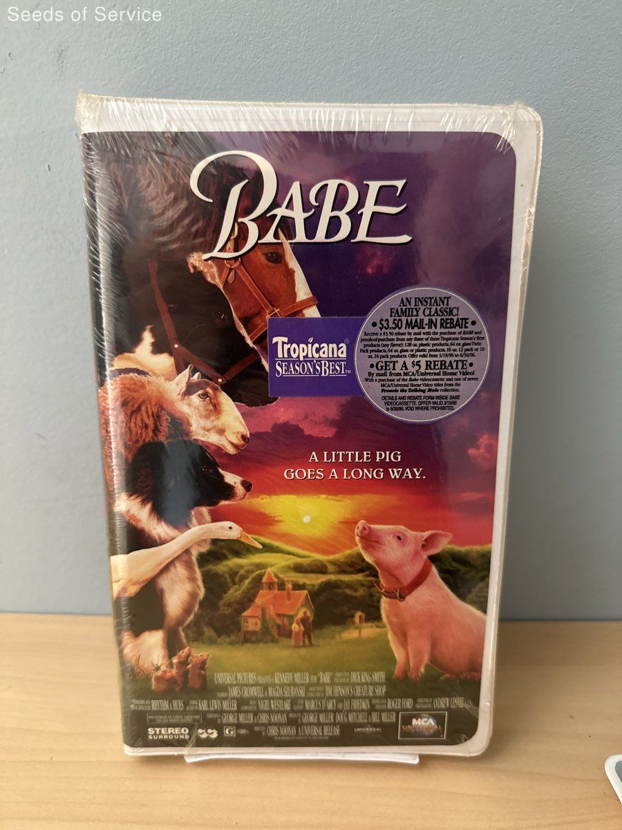 Babe VHS 1996 eBay