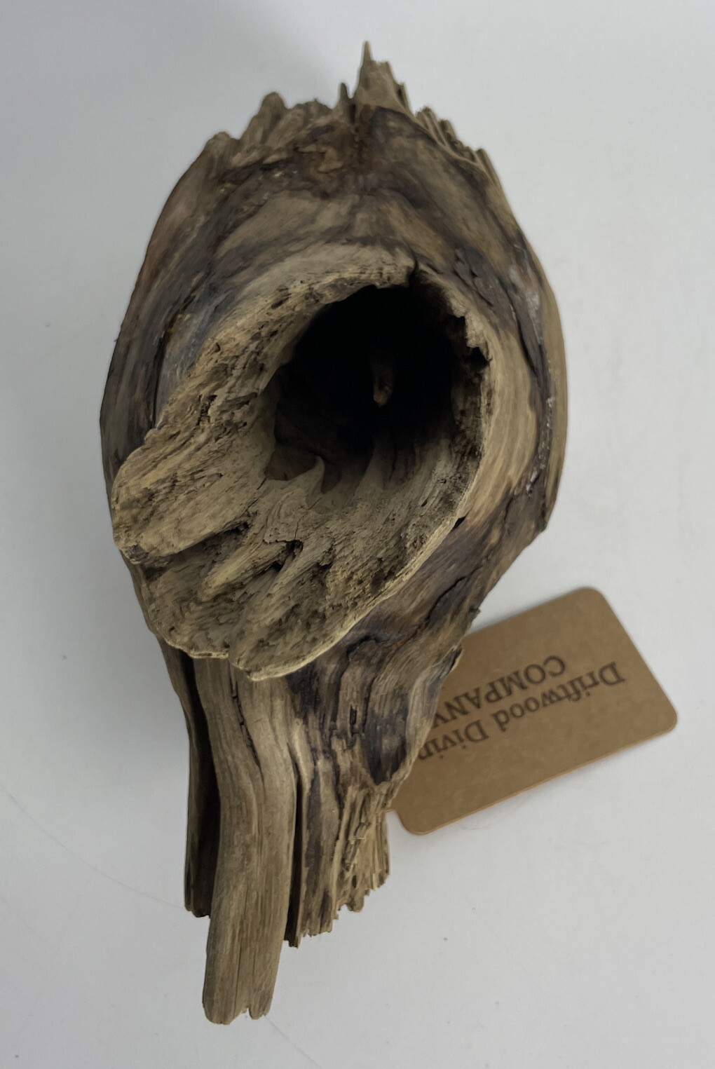 15” Cypress Driftwood Unfinished Natural Aquarium Terrarium Plant Art