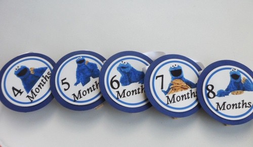 Cookie Monster Birthday Banner, 13 month clothespin picture display / 1st year - Picture 2 of 3